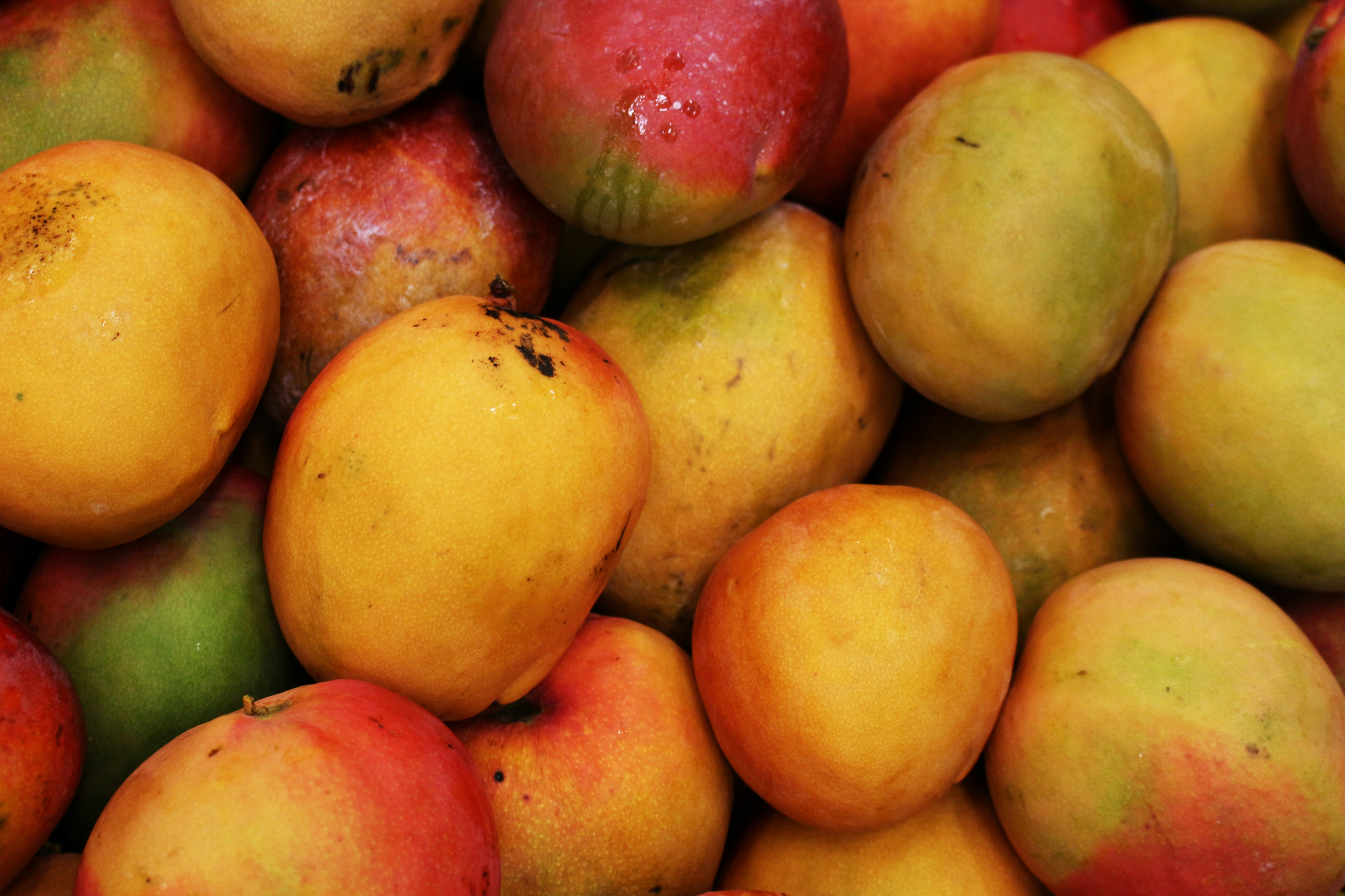 mangoes