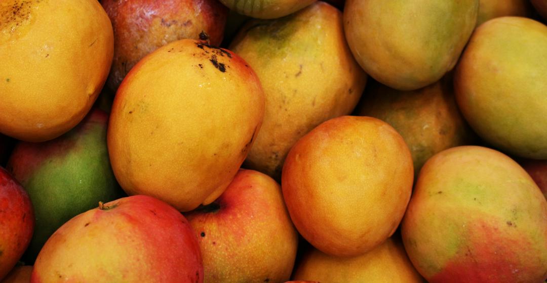 mangoes
