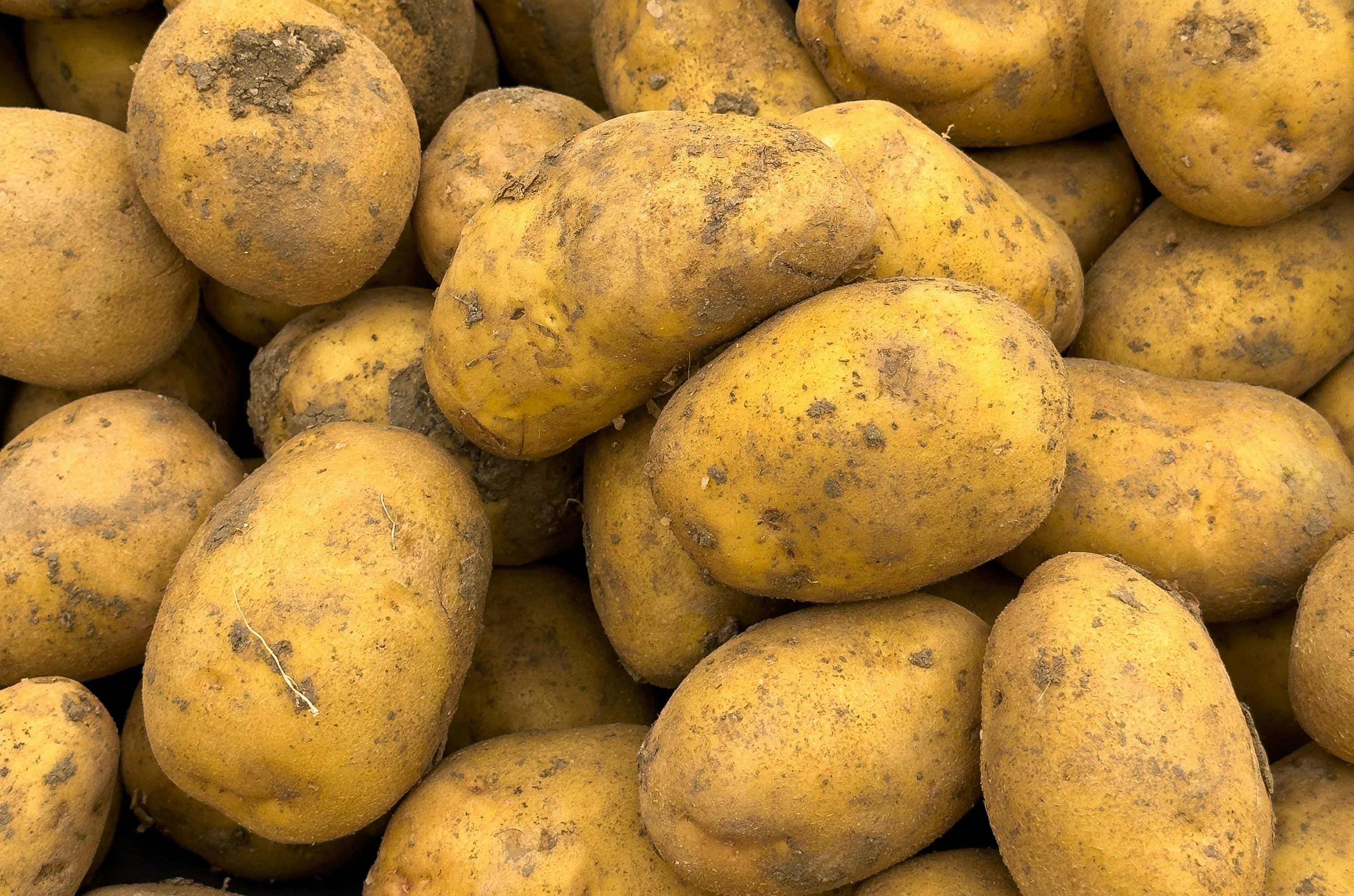 Potatoes