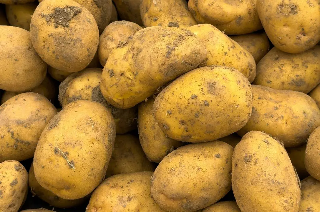 Potatoes