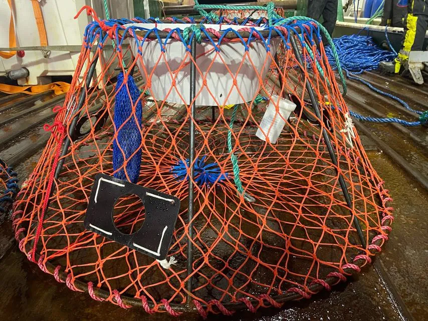 Escape hatch highlighted.