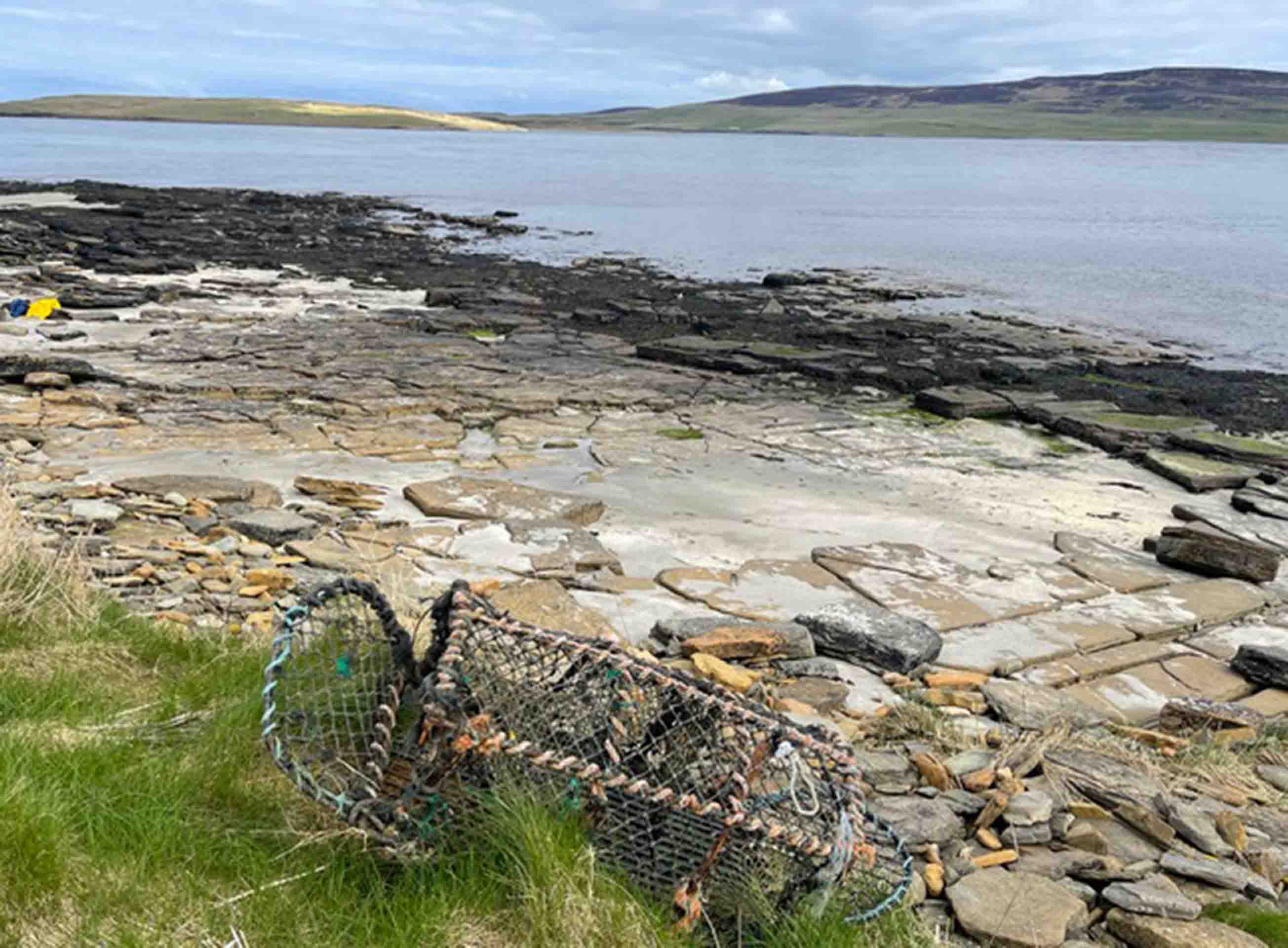 Coastal scene