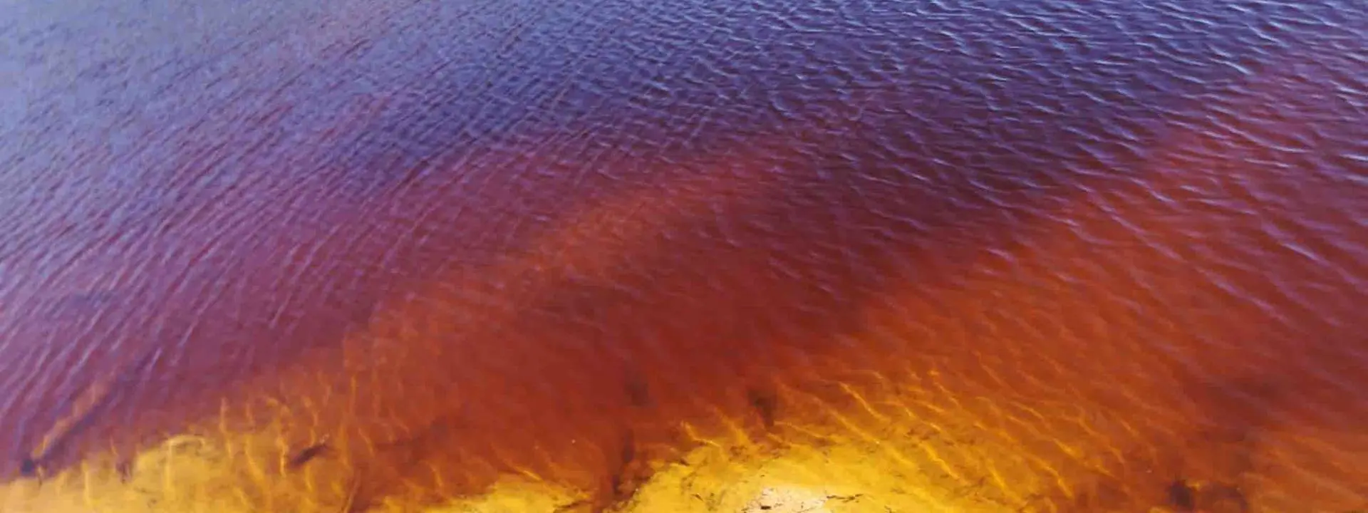 A river and riverbank.