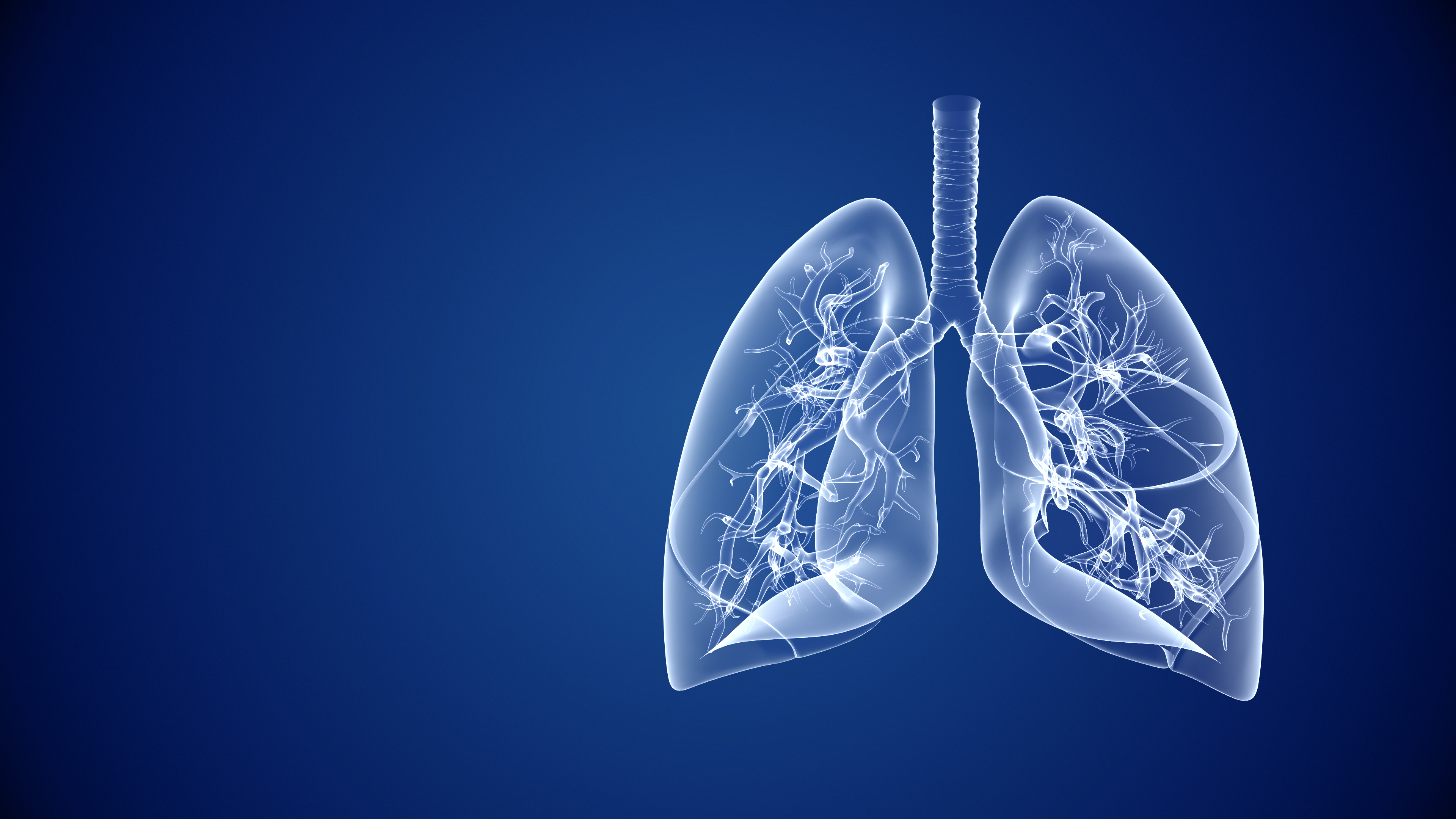 A graphic showing a pair of lungs.