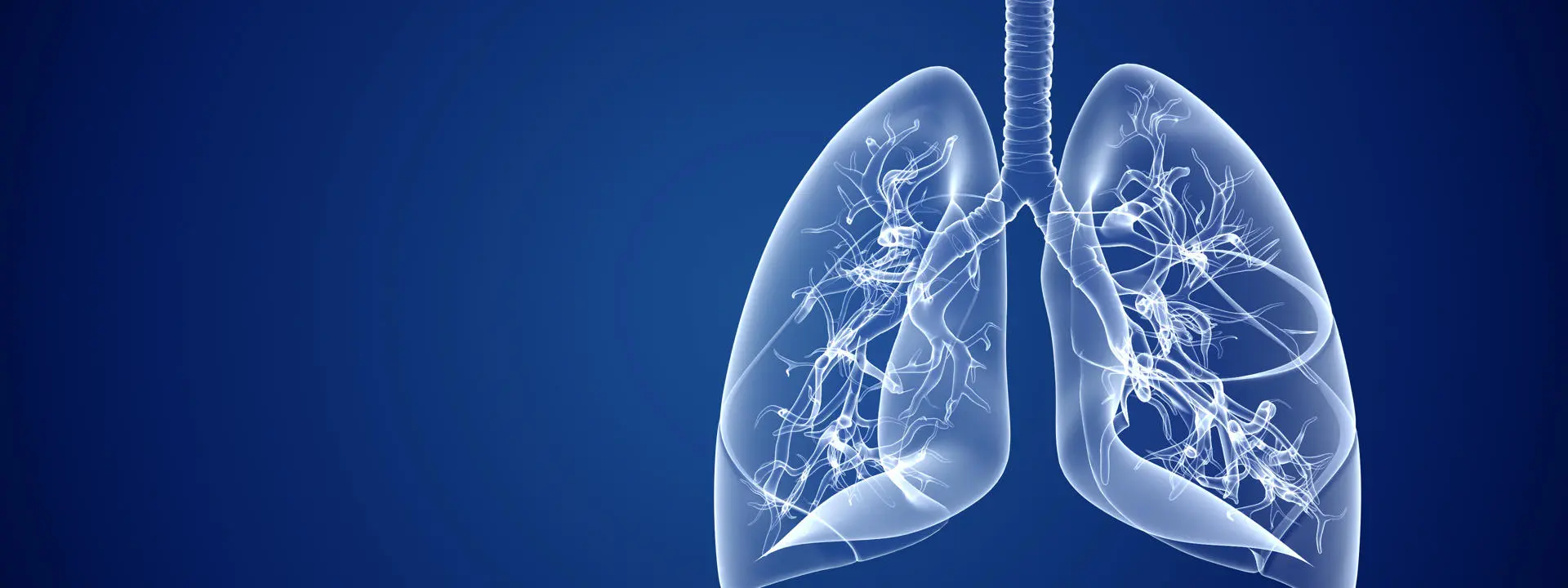 A graphic showing a pair of lungs.