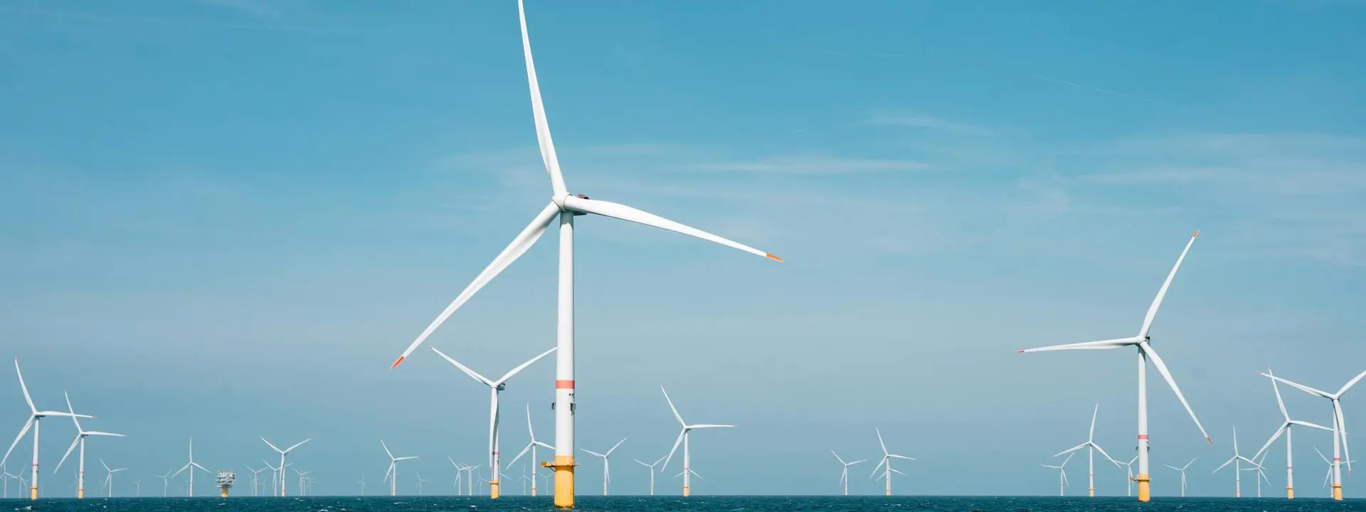 Image shows a series of wind turbines at sea.