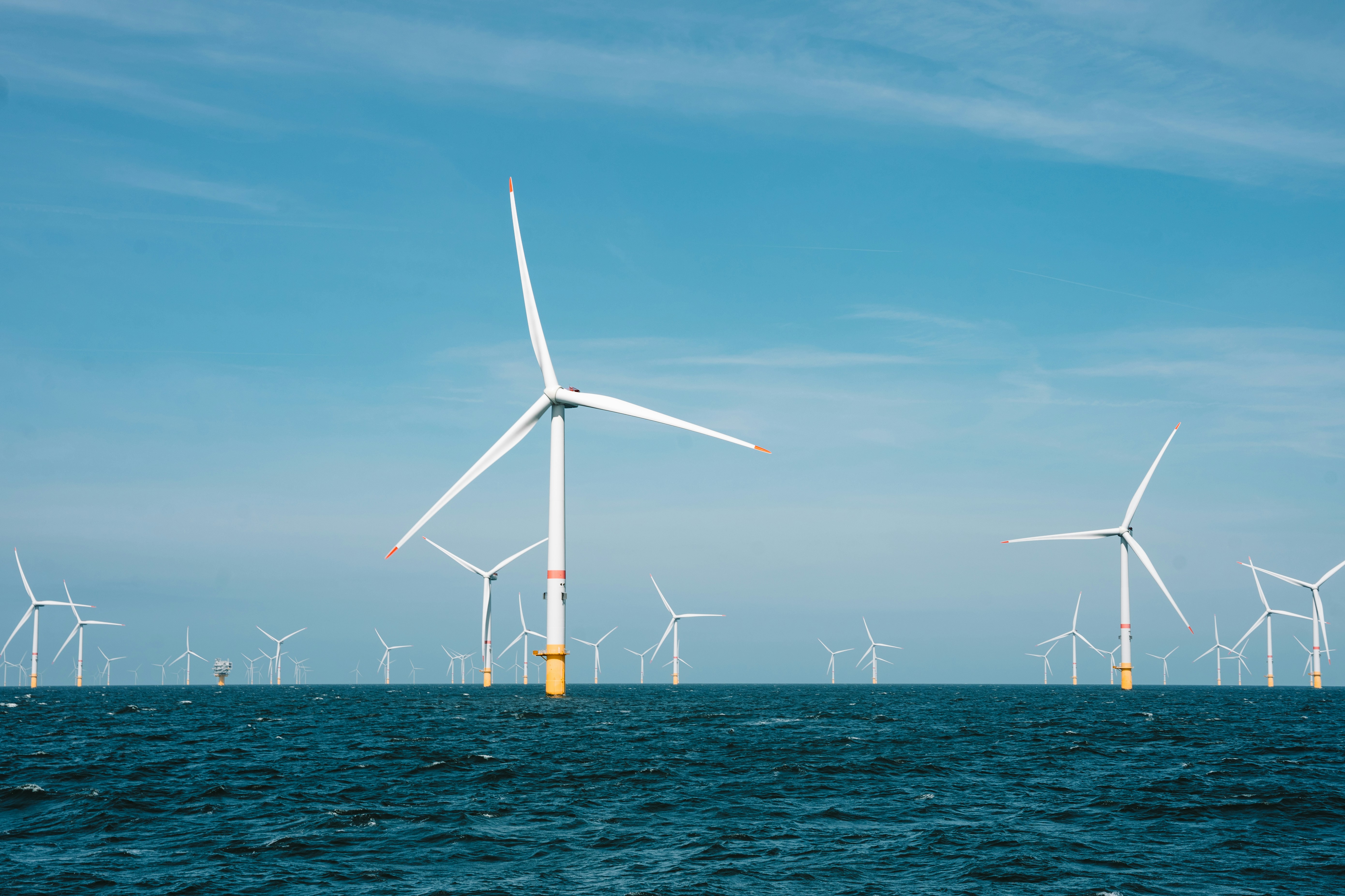 Image shows a series of wind turbines at sea. 