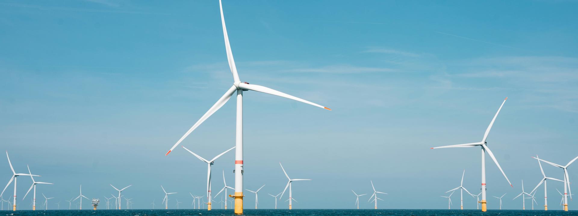 Image shows a series of wind turbines at sea.