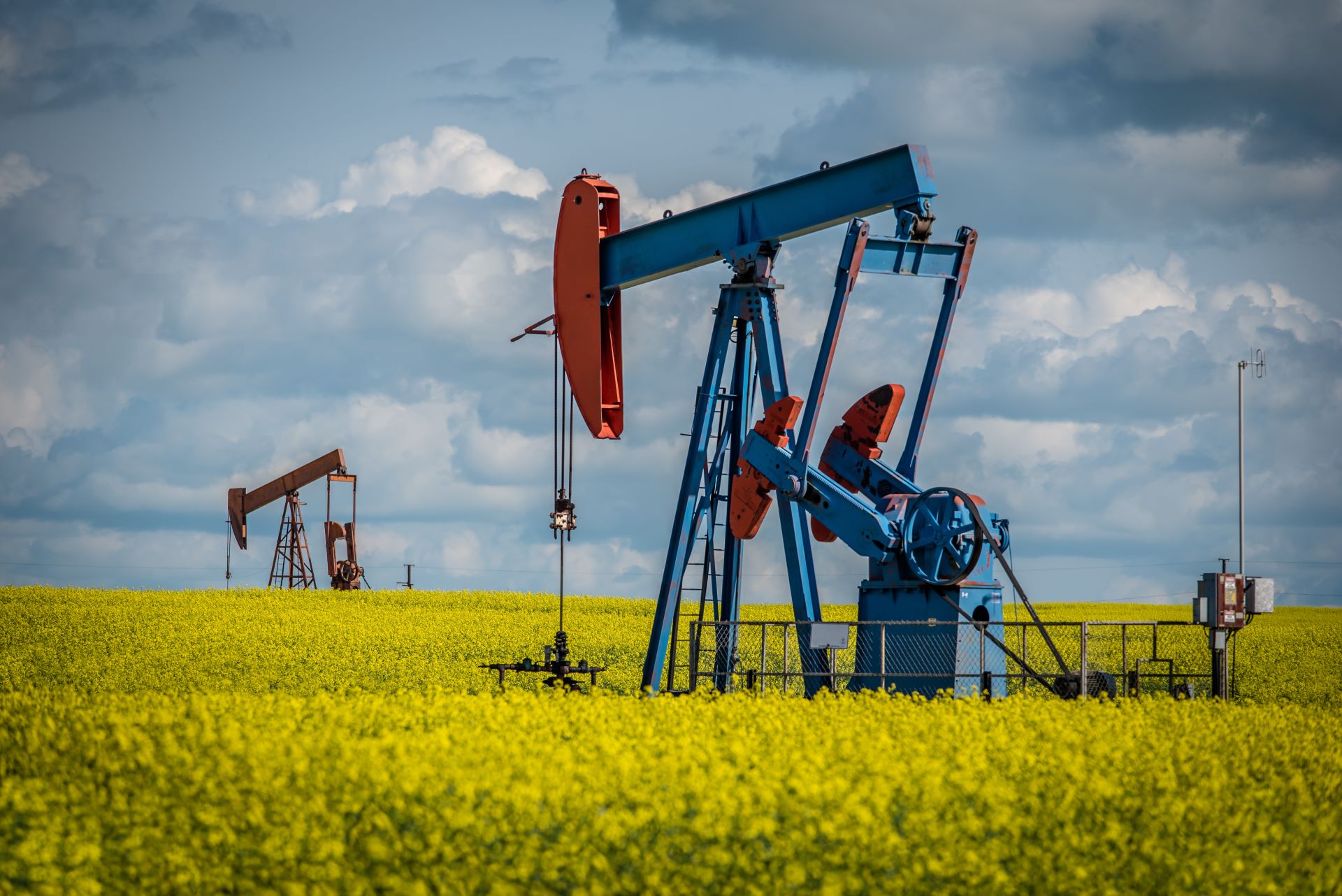 A photograph of oil pumpjacks operating in a vast field of bright yellow canola flowers under a partly cloudy sky.