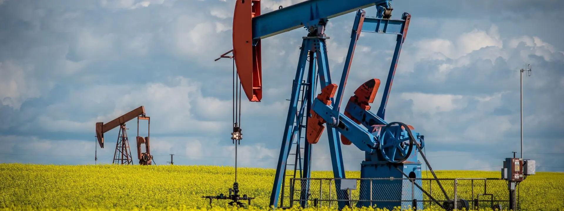 A photograph of oil pumpjacks operating in a vast field of bright yellow canola flowers under a partly cloudy sky.