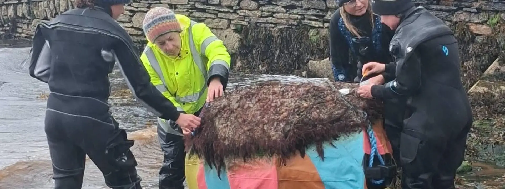 Image from Orkney event