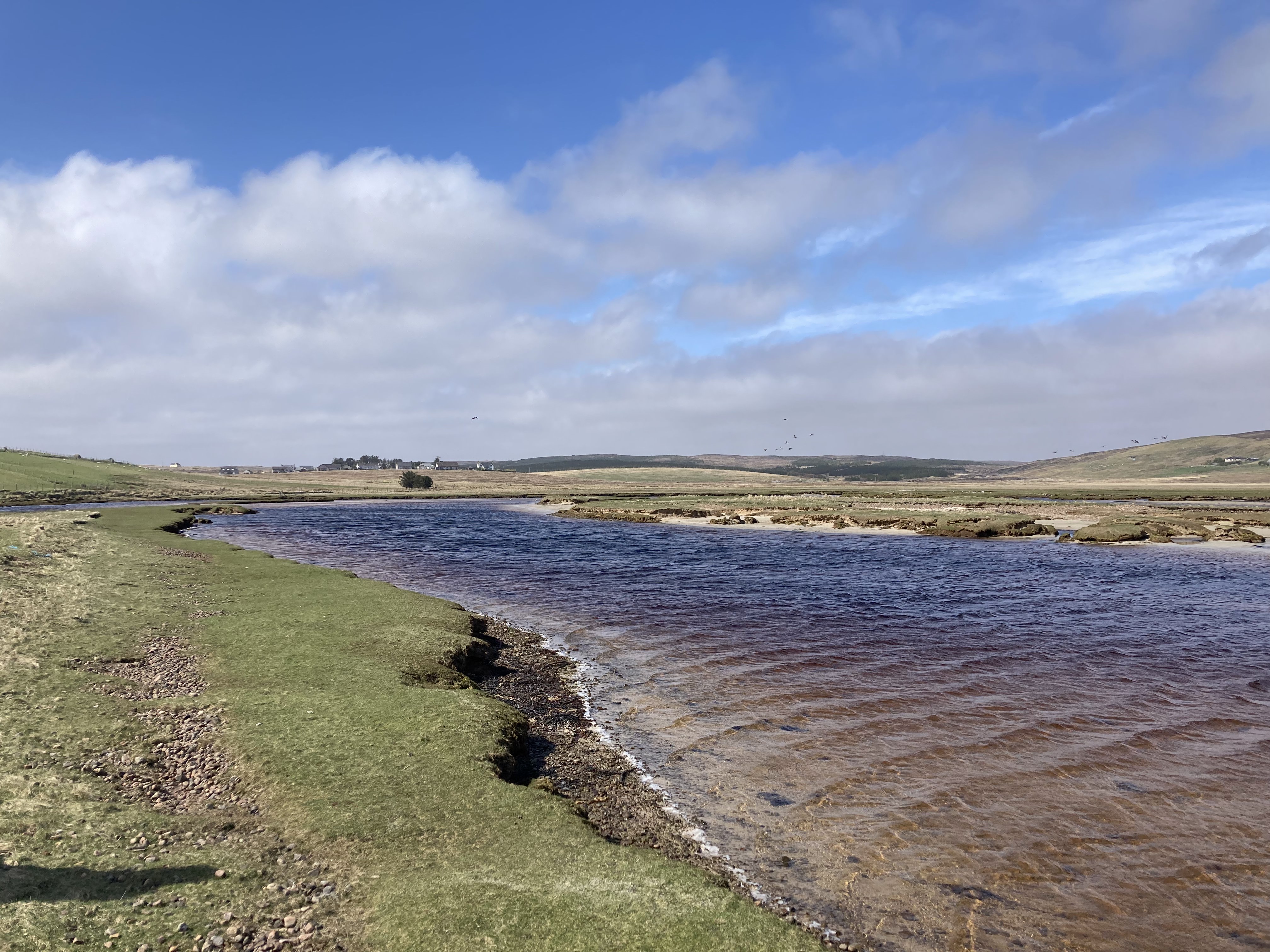 Ancient Hebridean salt marsh 