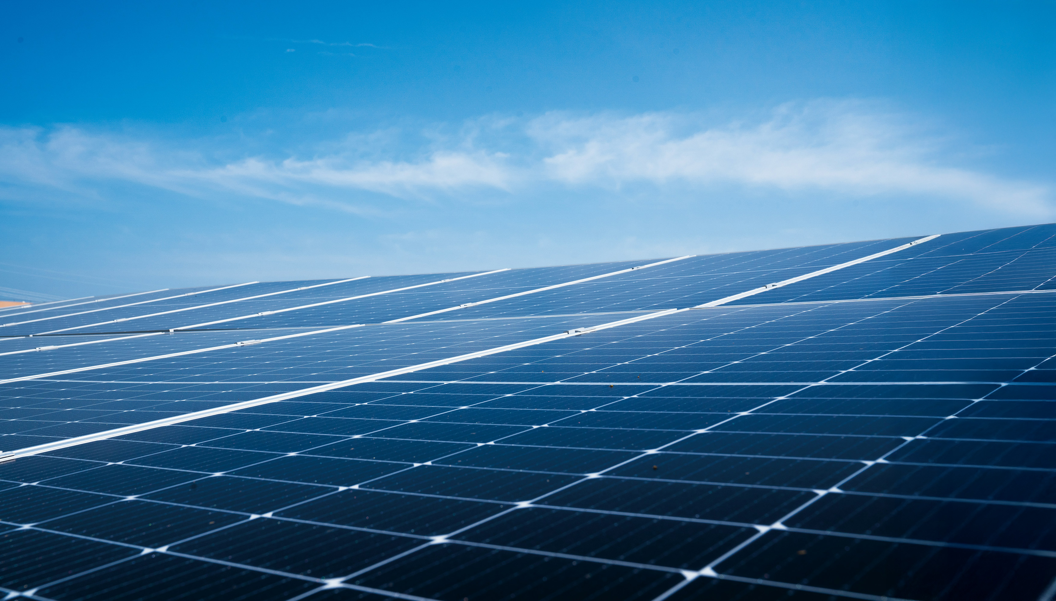 Expanse of solar panels against blue sky