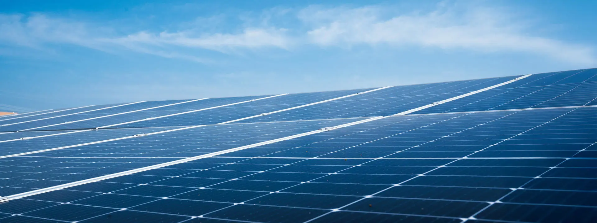 Expanse of solar panels against blue sky