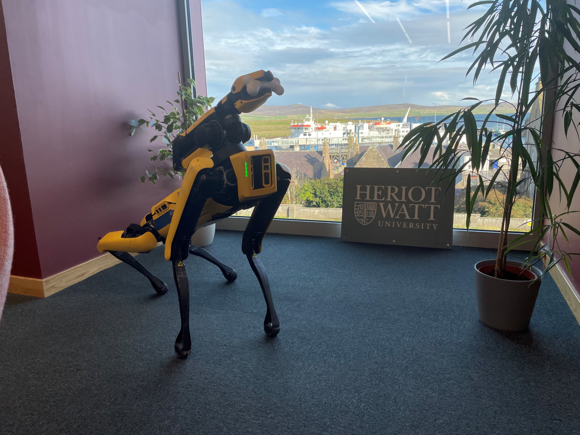 A Boston Dynamics “Spot” robot standing near a large window inside a building at “Heriot-Watt University”, specifically the Orkney campus