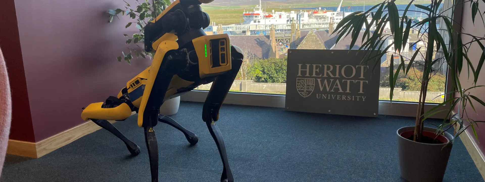 A Boston Dynamics “Spot” robot standing near a large window inside a building at “Heriot-Watt University”, specifically the Orkney campus