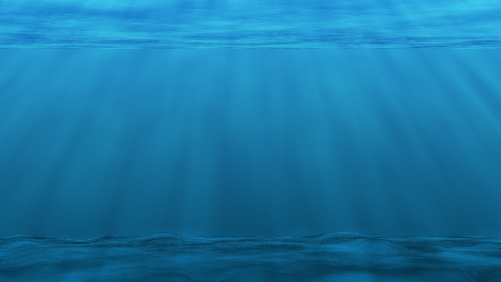 A body of water