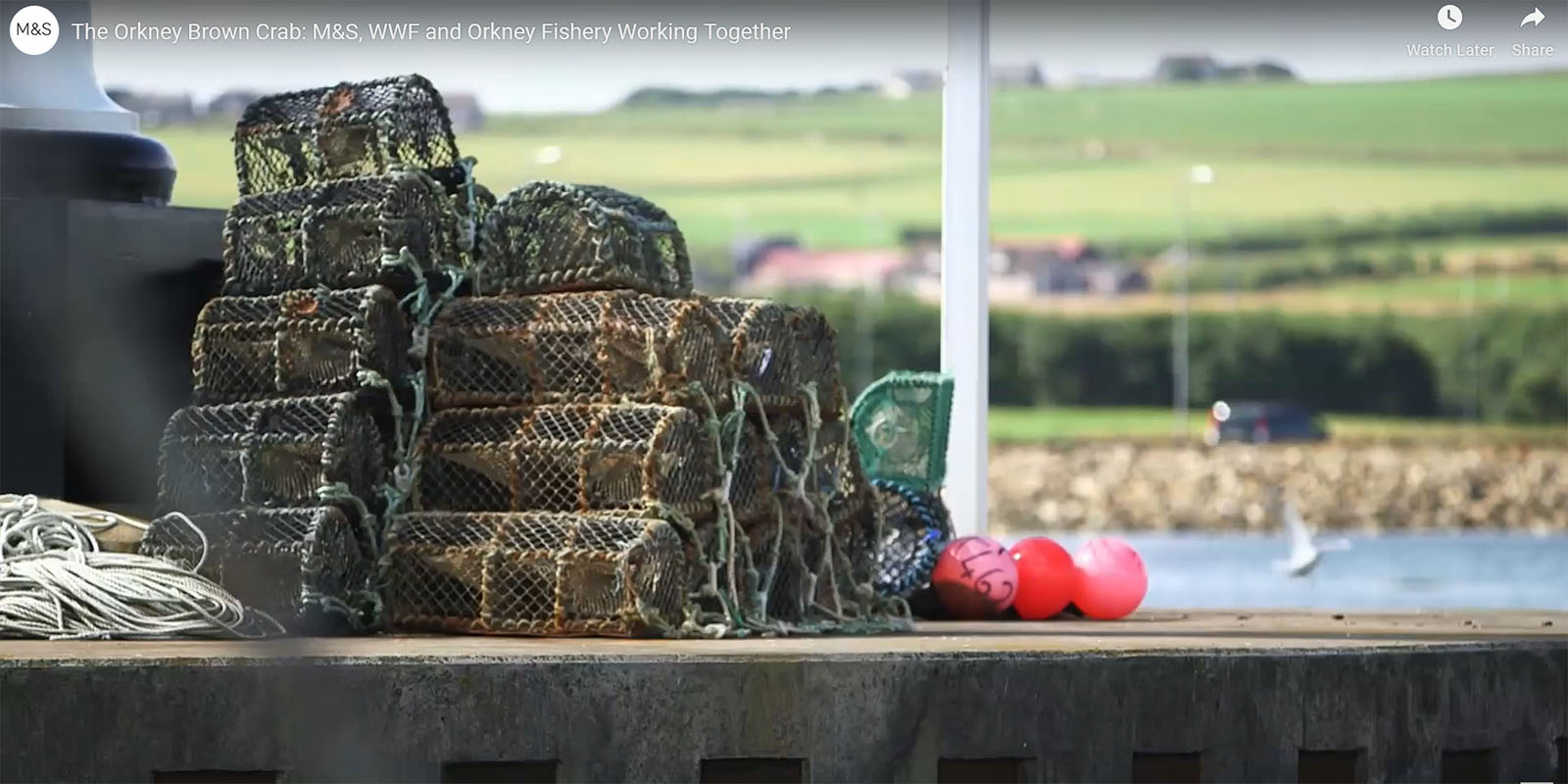 Lobster pots (or creels) stacked on a dock in Orkney