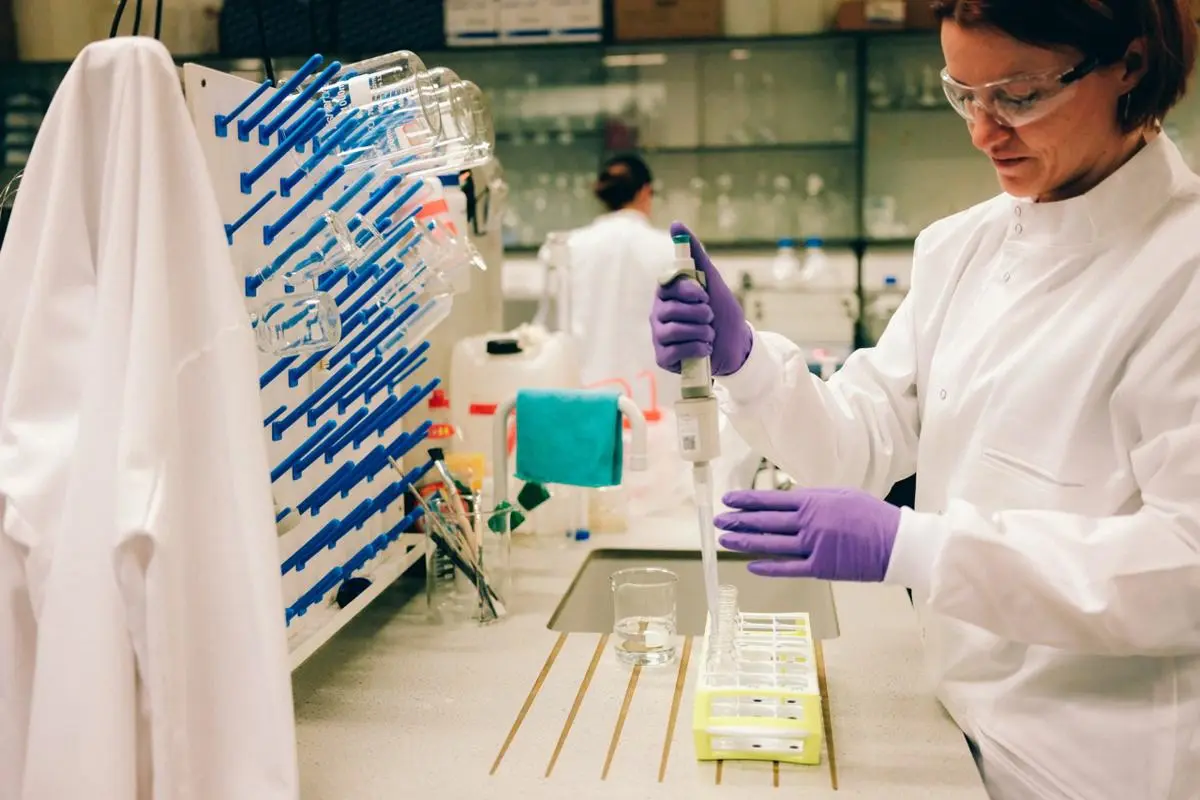 Portal to our research Large