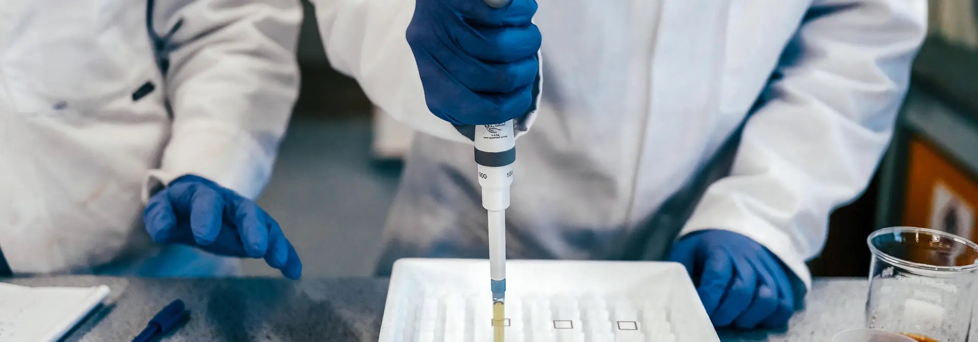 Students testing chemicals