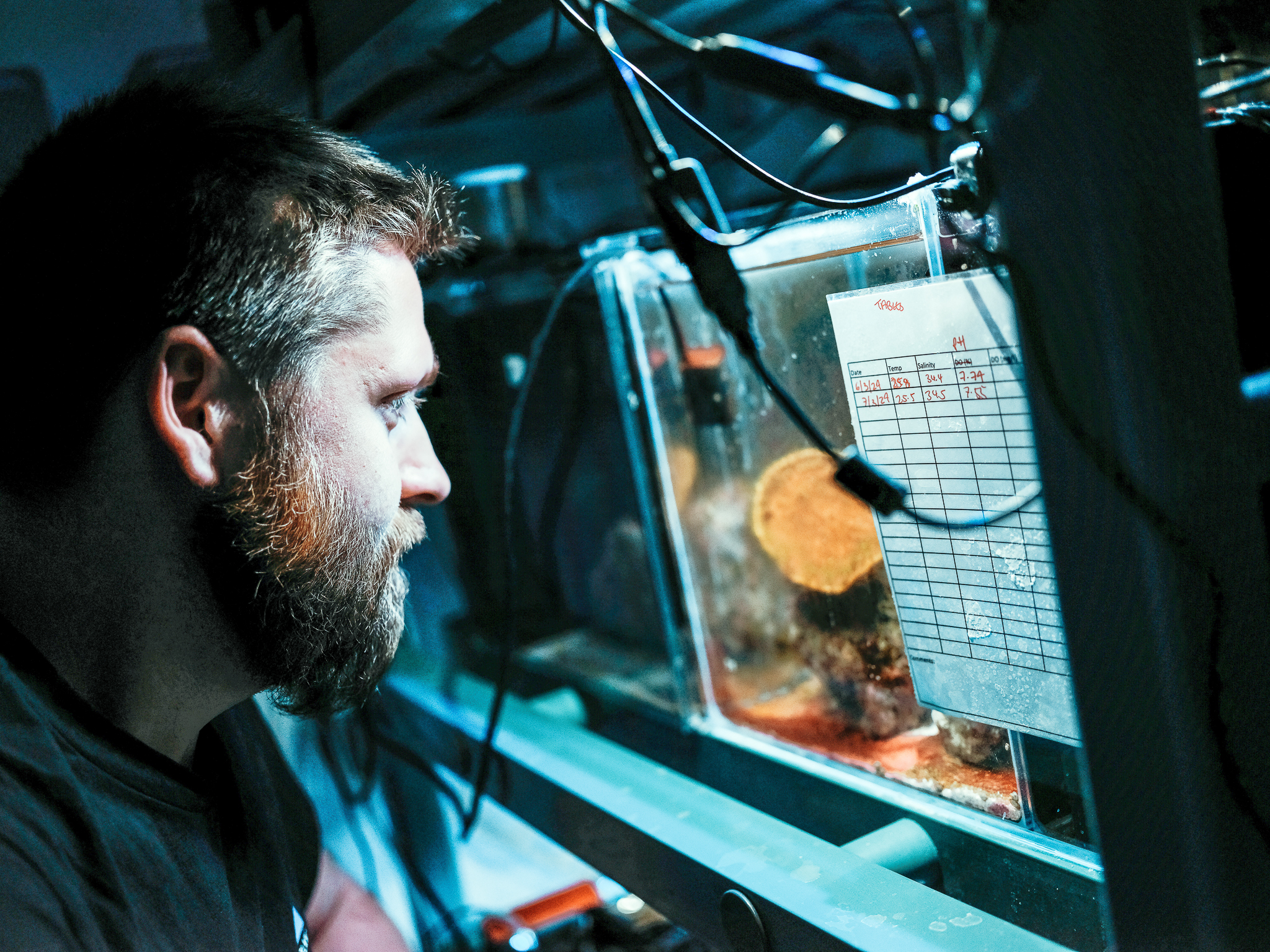 Student looking at a specimen
