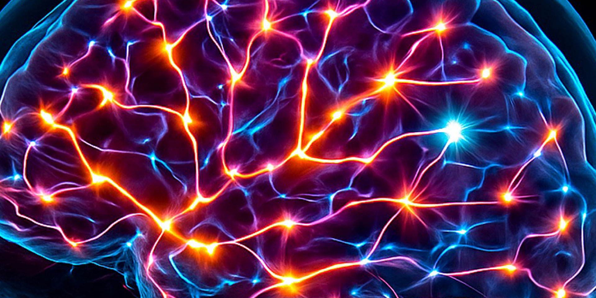 A brain illustration illuminated with glowing lights, emphasizing neural connections and activity.
