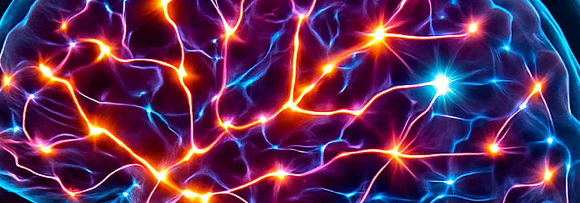 A brain illustration illuminated with glowing lights, emphasizing neural connections and activity.