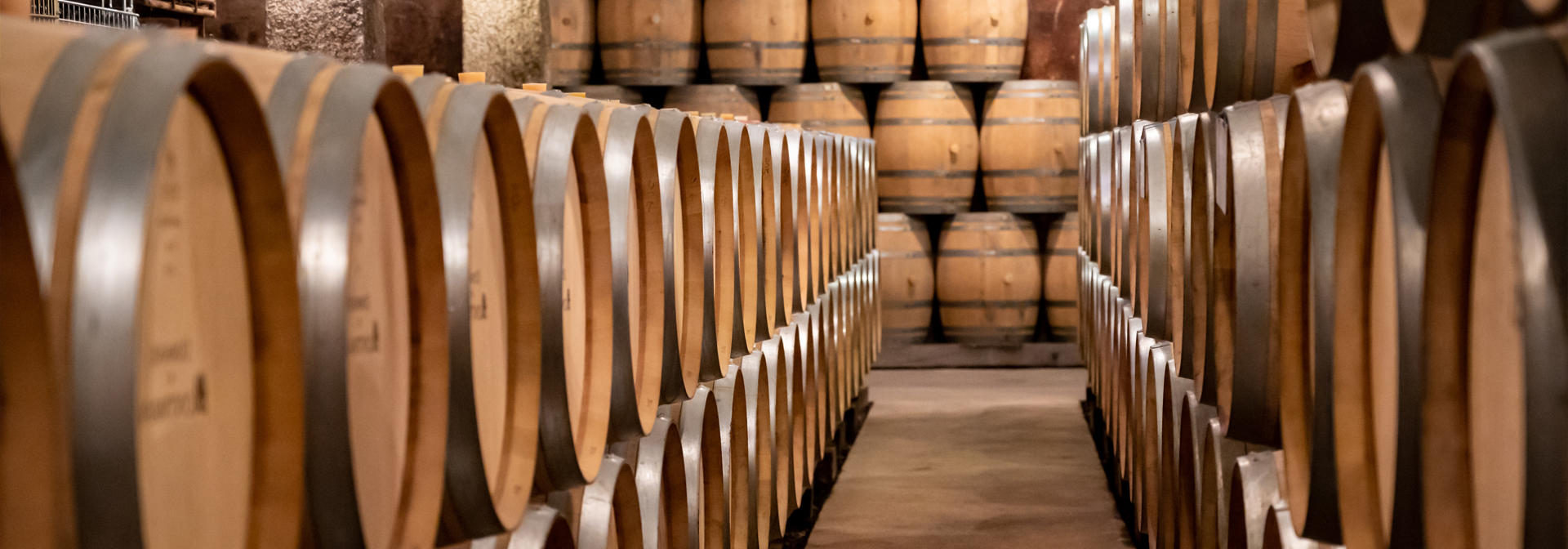 Rows of wooden barrels lined up in a dimly lit cellar, likely used for aging wine or spirits.