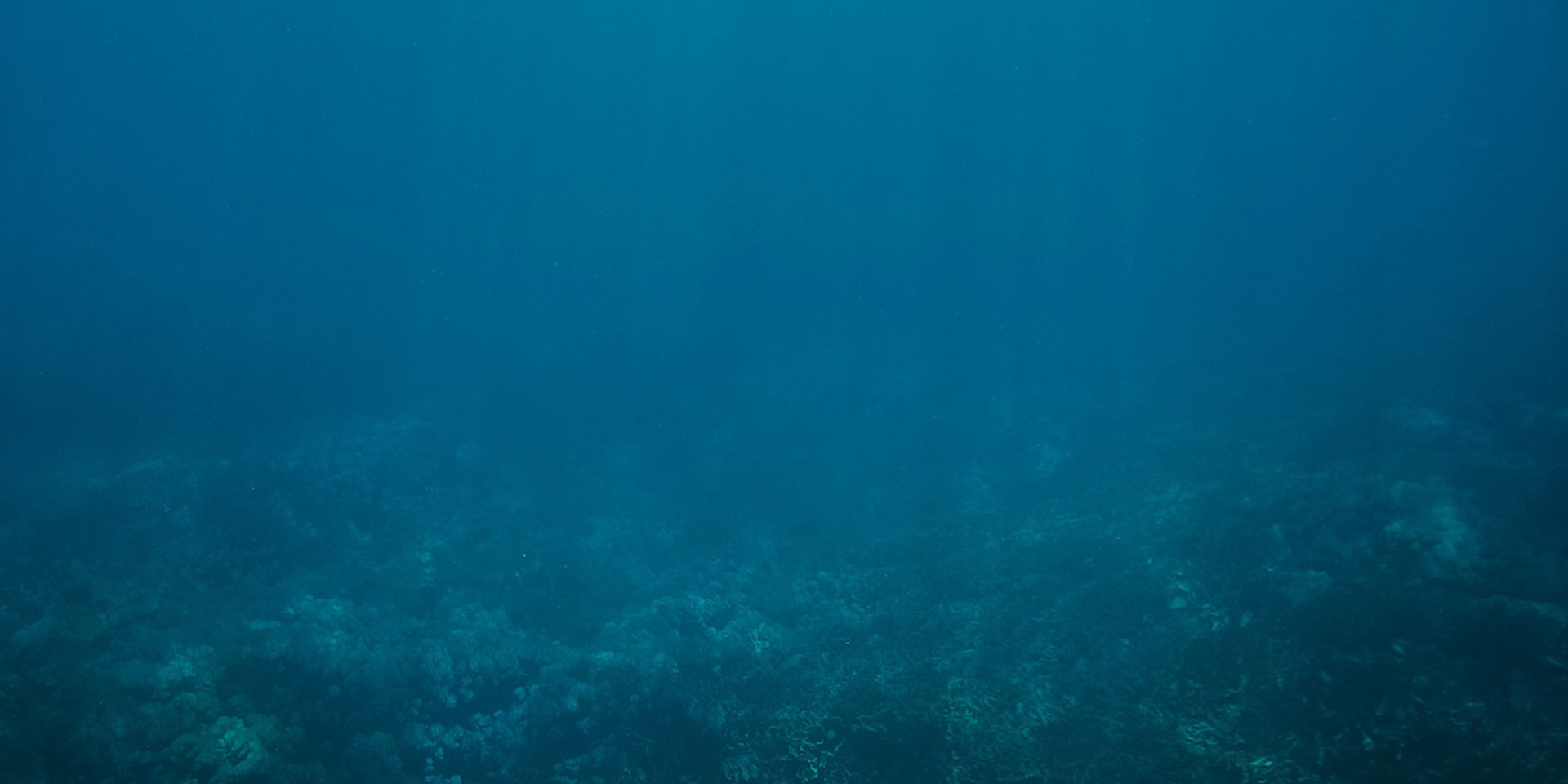 bi-underwater-seabed