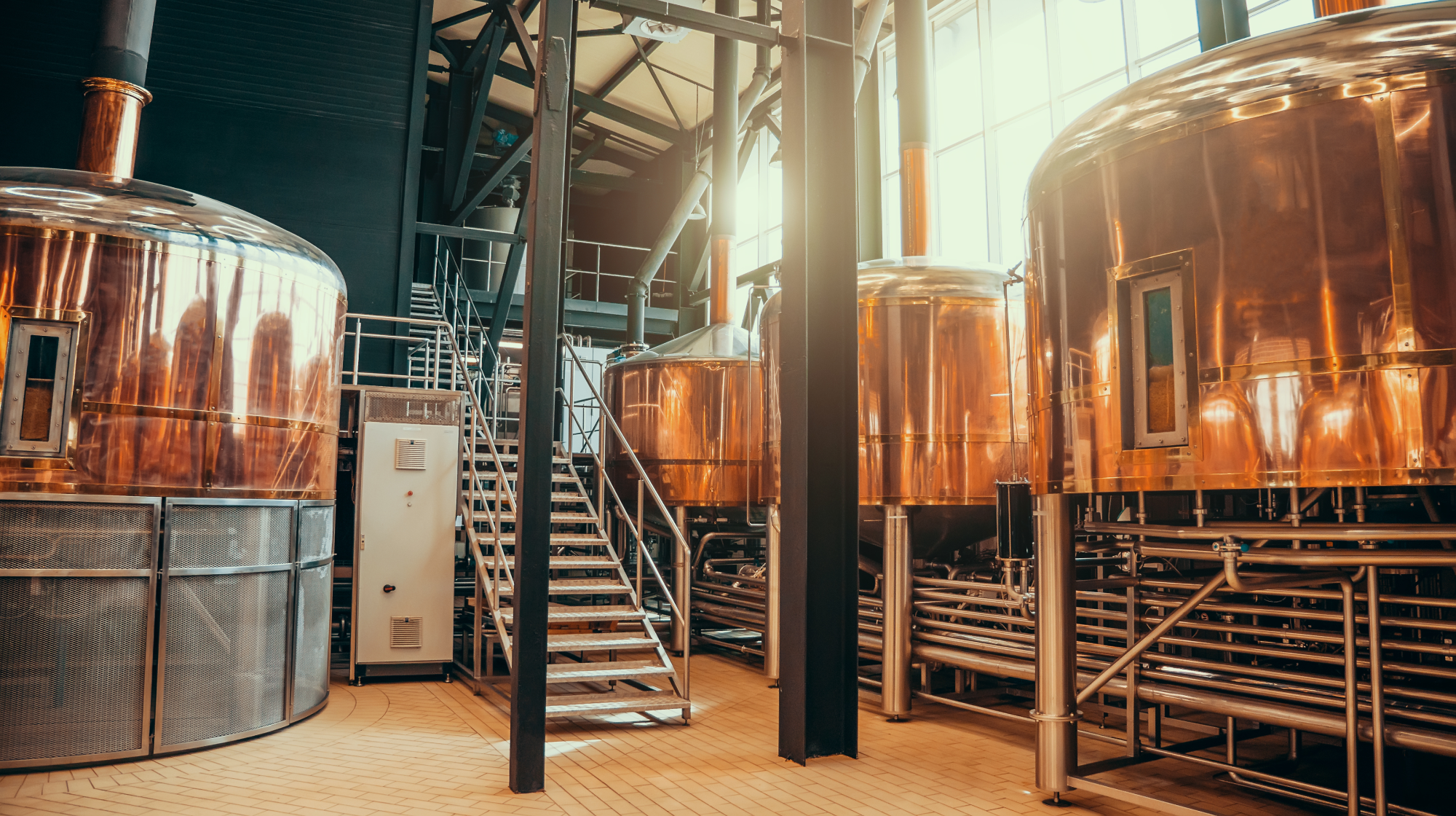 brewing-and-distilling-research-programme-banner