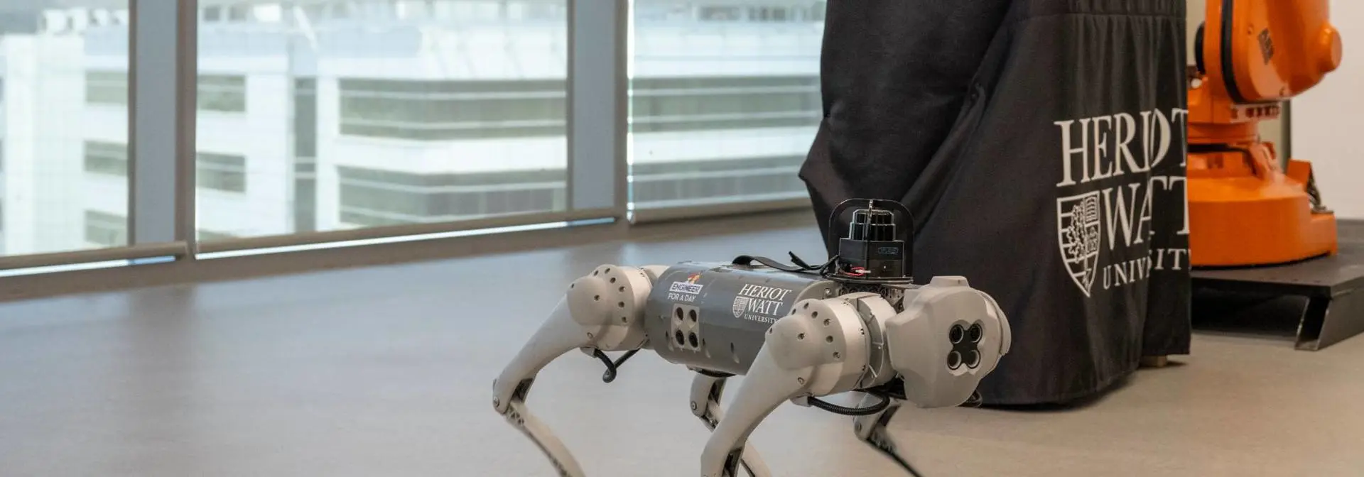 Robot equipment