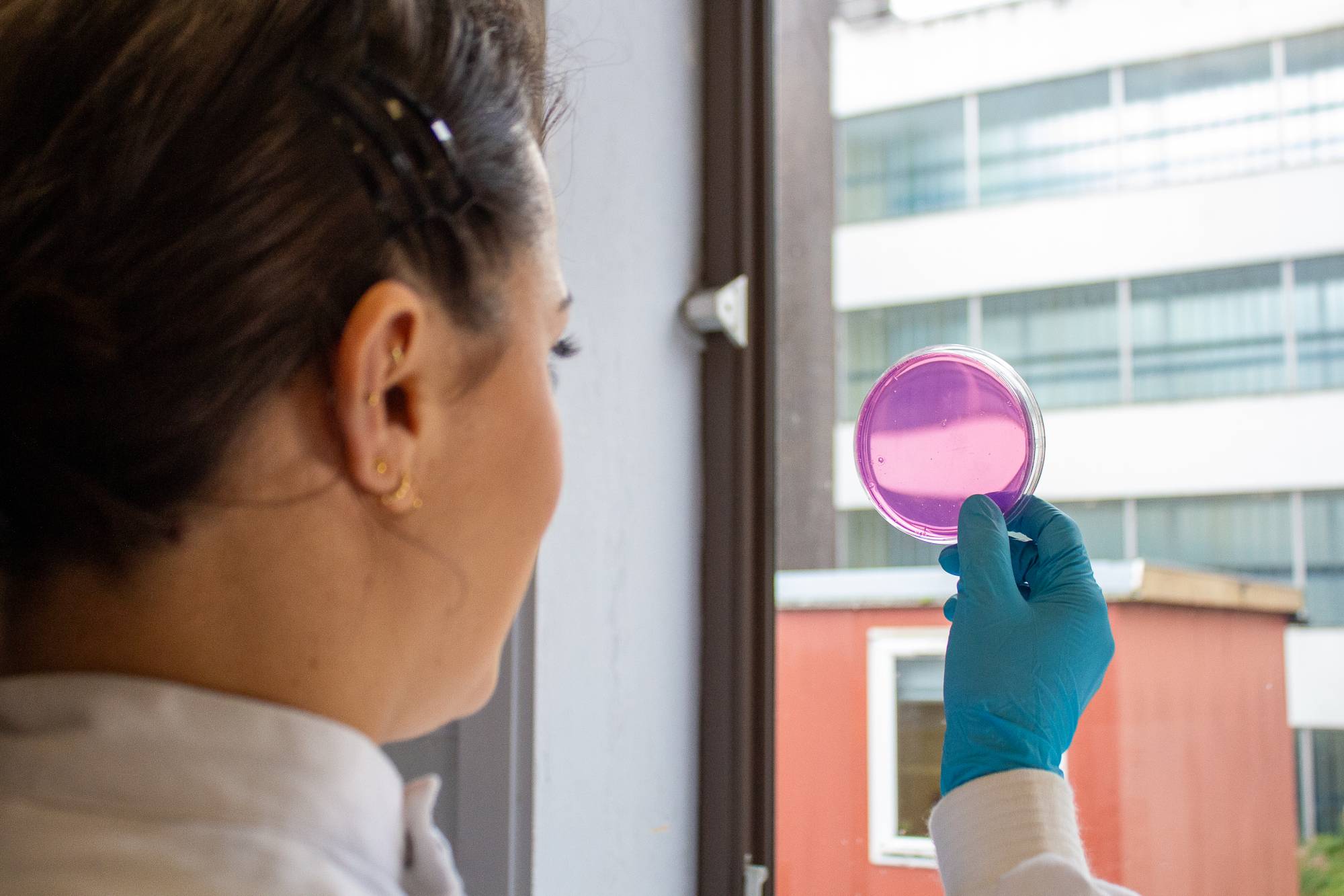 egis-pgr-nano-banner