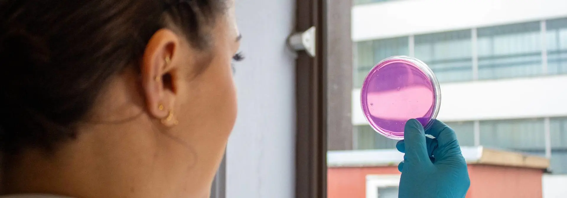 egis-pgr-nano-banner