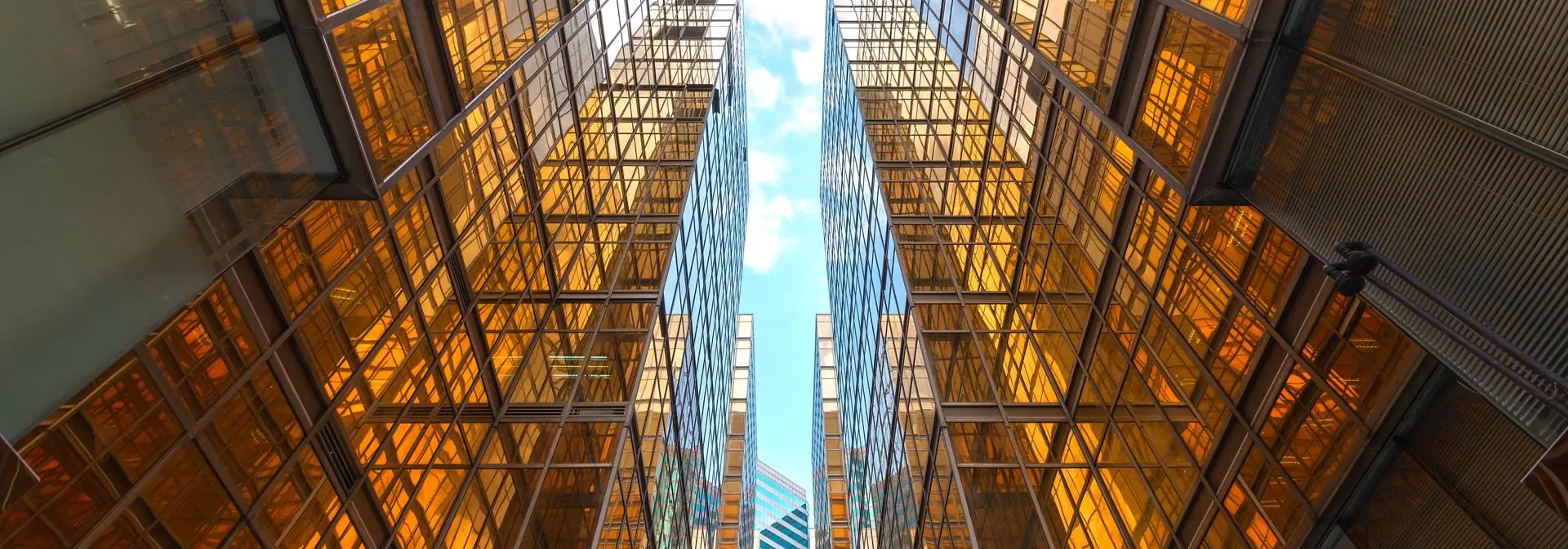 Low angle of glass buildings