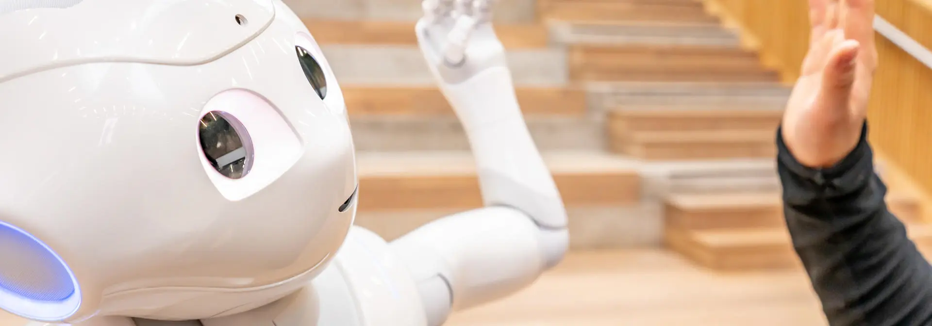 Robot high-fiving a human