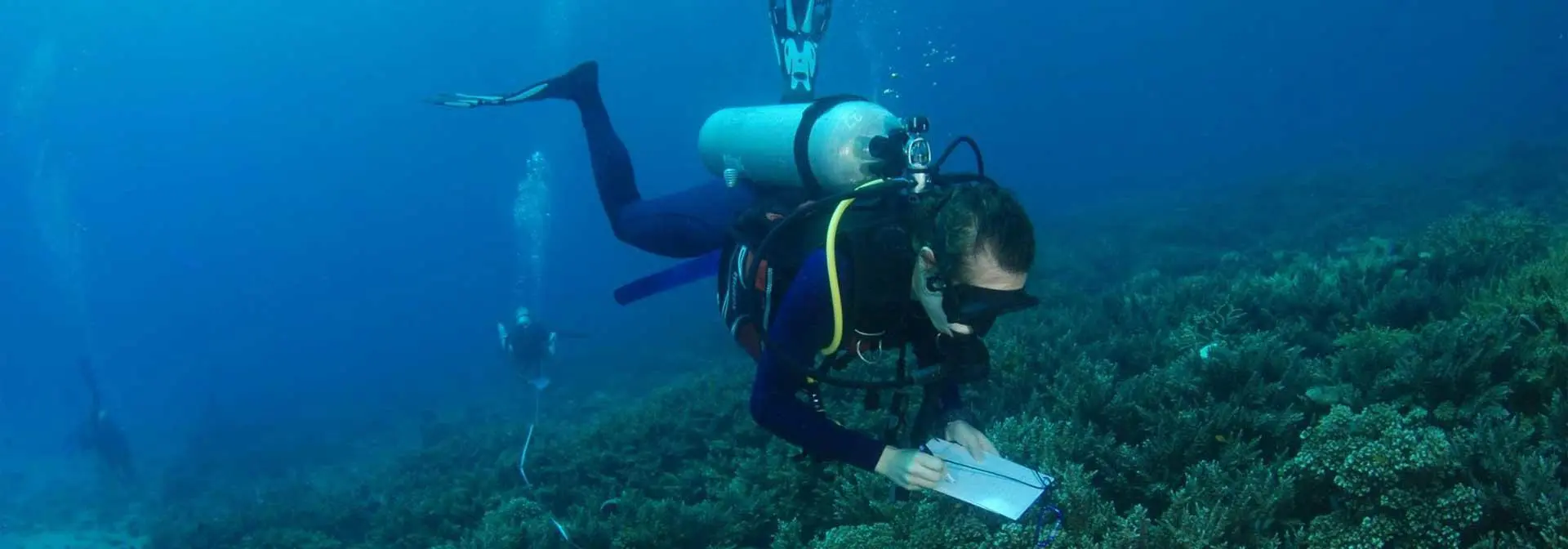 A scuba diver takes notes underwater amidst vibrant marine life in the ocean.