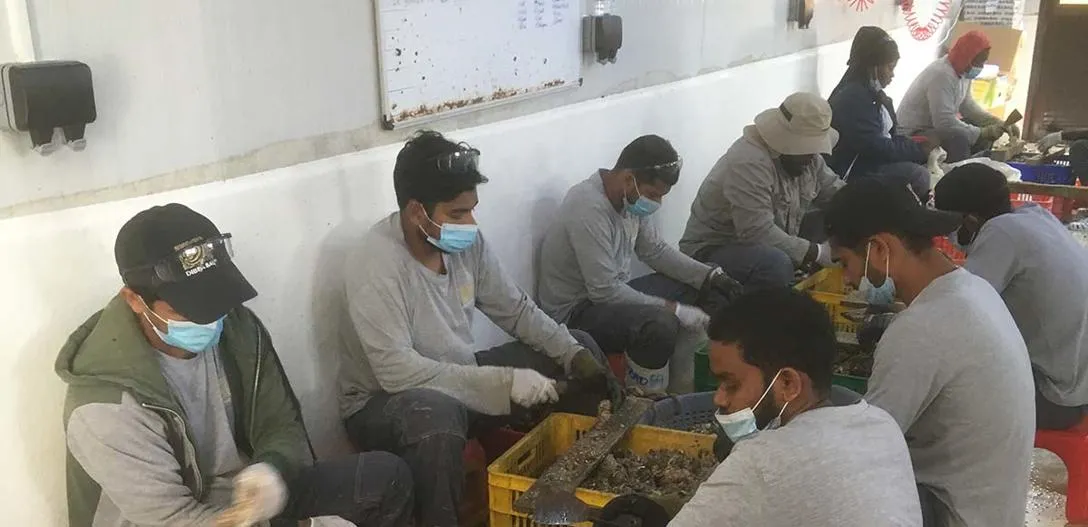 Fishing industry workers in poor and unsanitary conditions Fishing industry workers in poor and unsanitary conditions