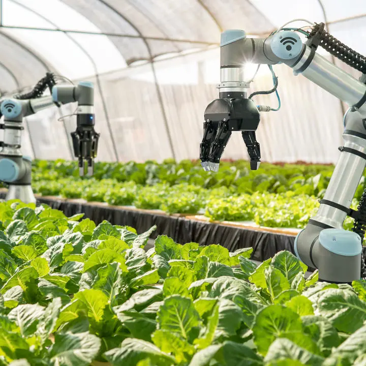 robotics arms planting crops in a greenhouse