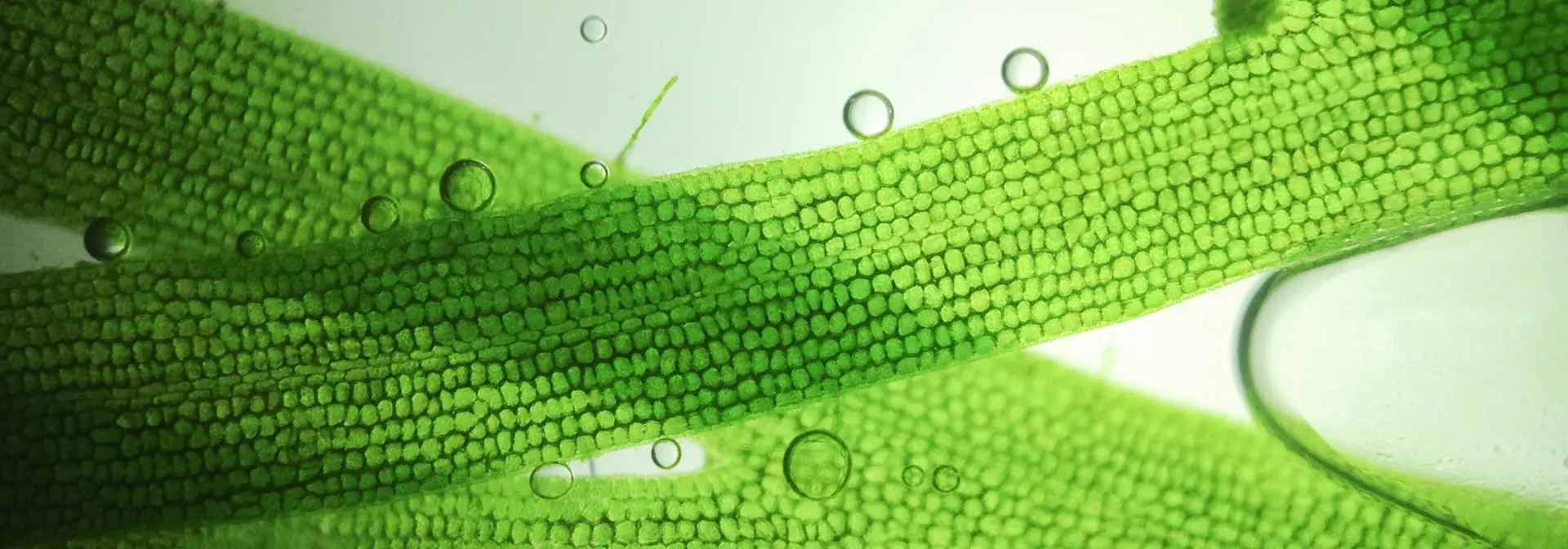 Sustainability
