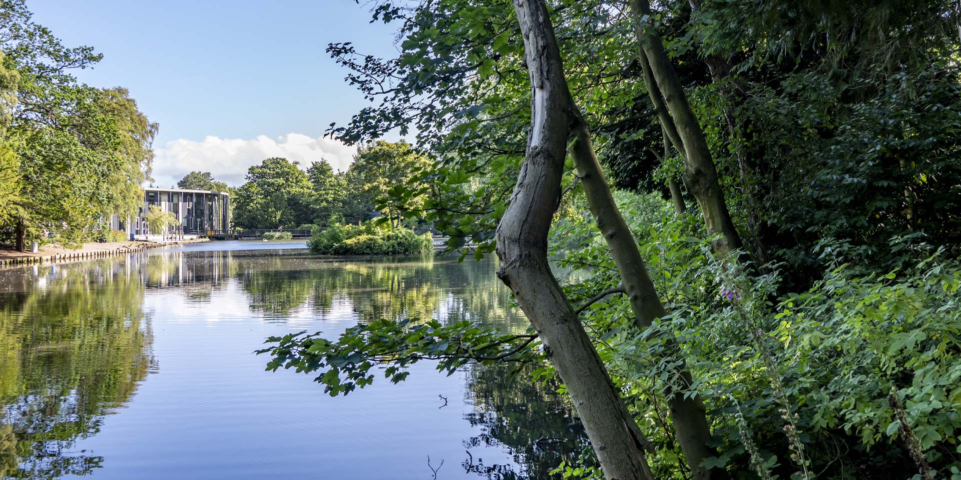 A serene loch in heavily wooded and green nature either side.   