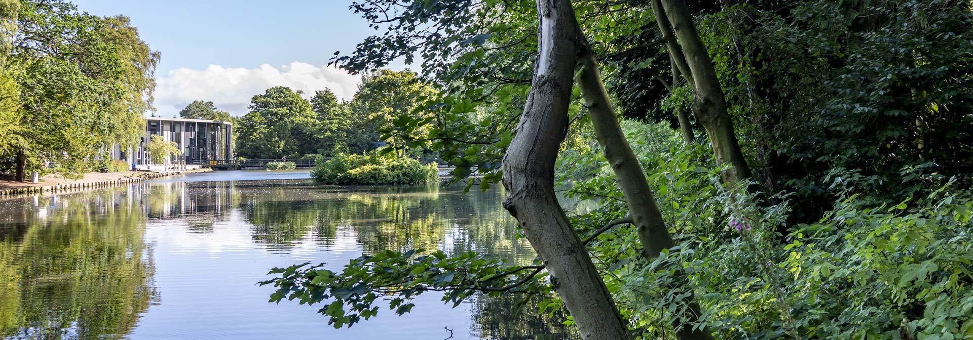 A serene loch in heavily wooded and green nature either side.