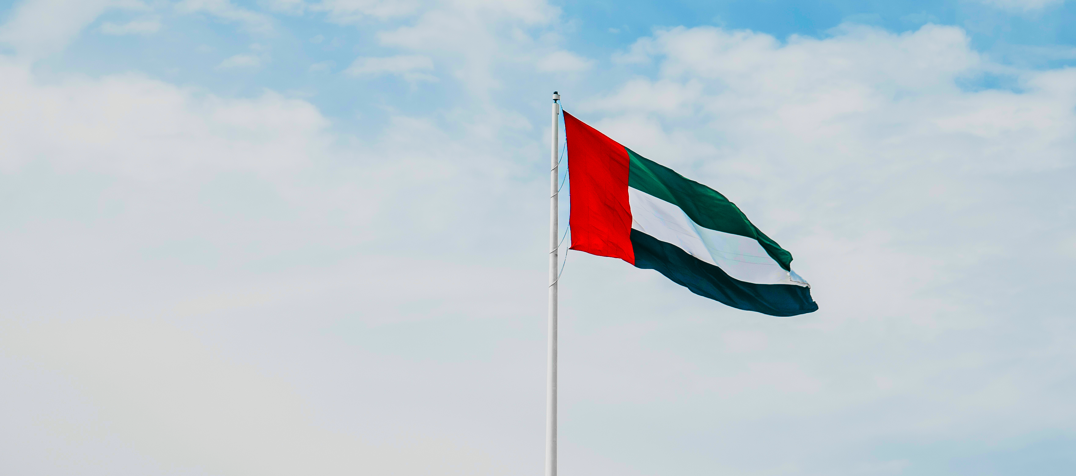 UAE flag
