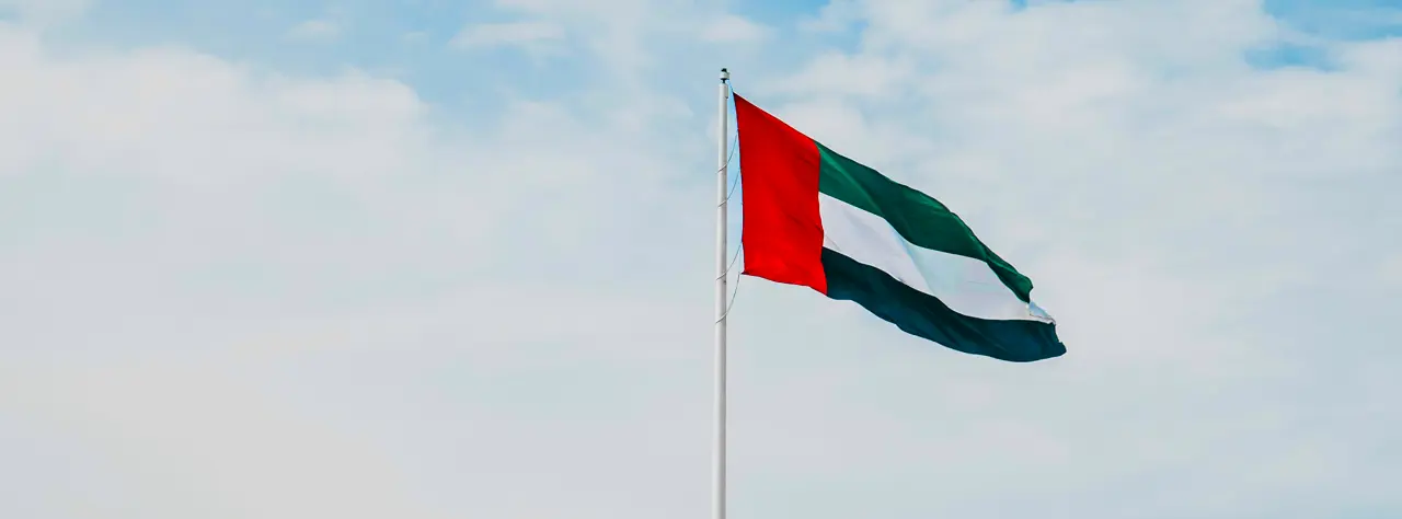 UAE flag