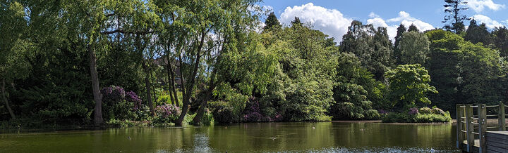 Edinburgh campus lake