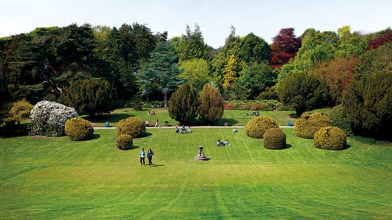 Students in the Sunken Garden, Edinburgh Campus on a sunny day