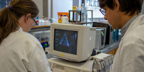 Dr Vassilis Sboros and Dr Mairead Butler using a computer in their laboratory
