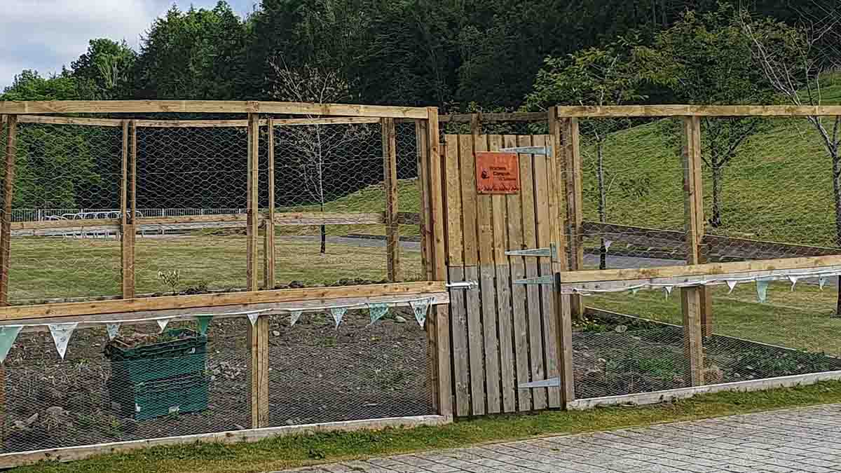 Allotment at the Scottish Borders Campus