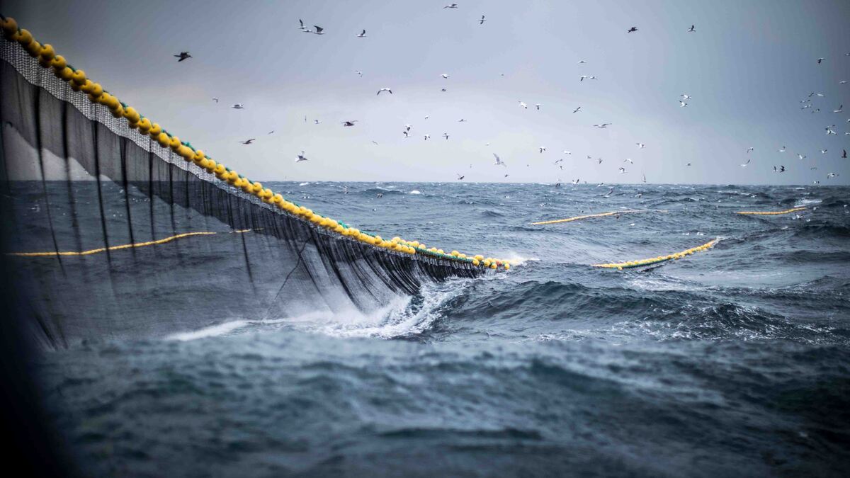 A large industrial fishing net partially underwater in the sea