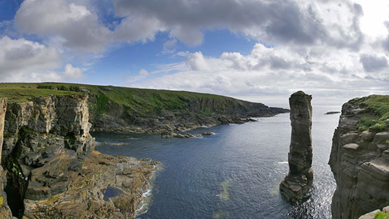 Orkney cliffs