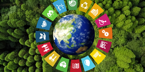 SDG Card